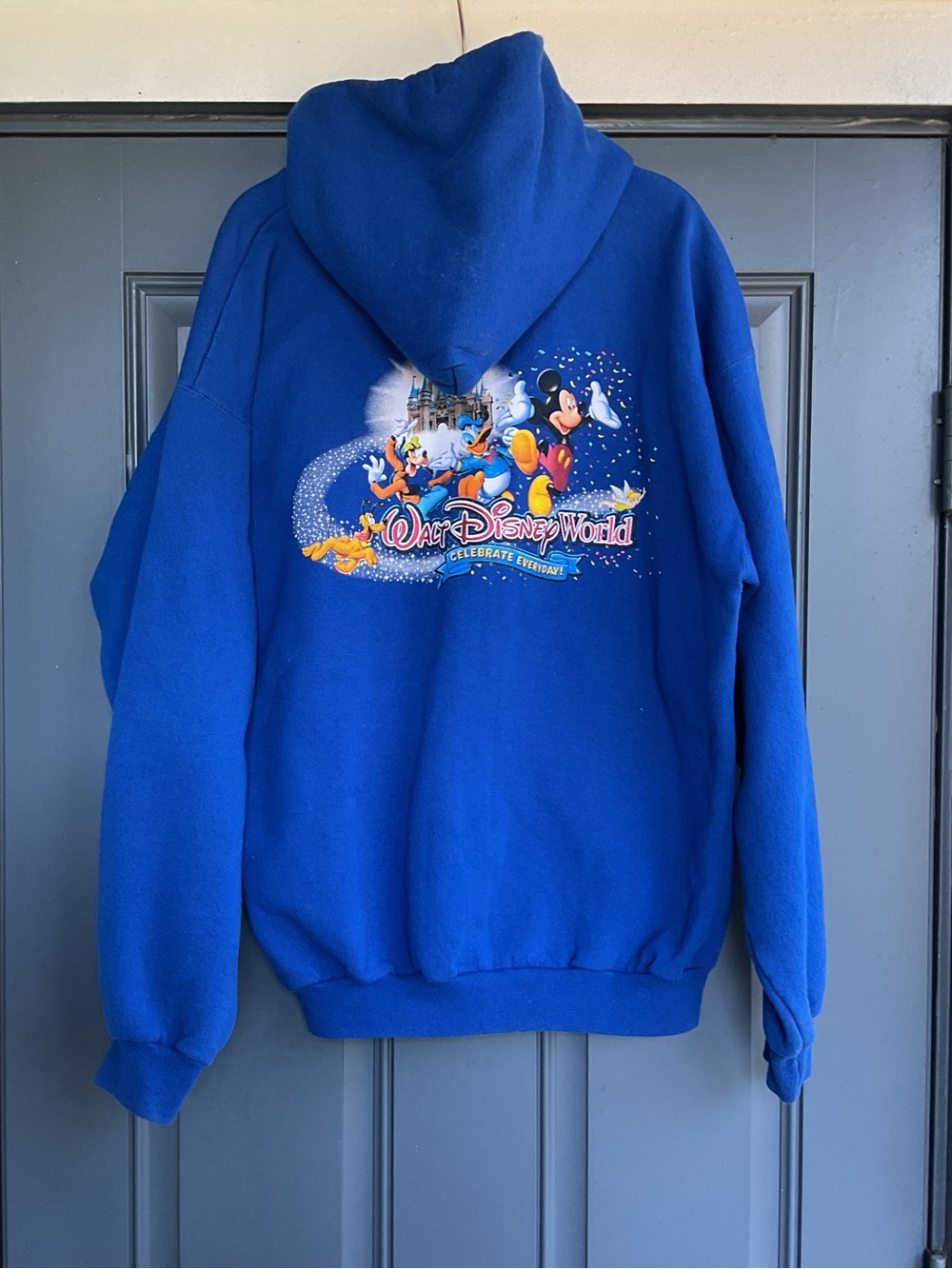 Disney Royal Blue Walt Disney World Character Hoodie